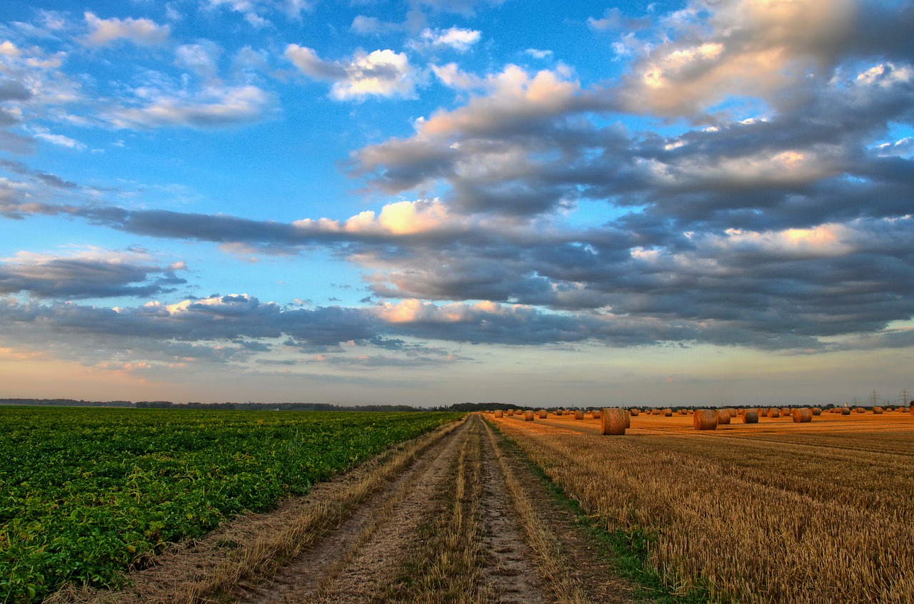 Image - nature landscape field agriculture