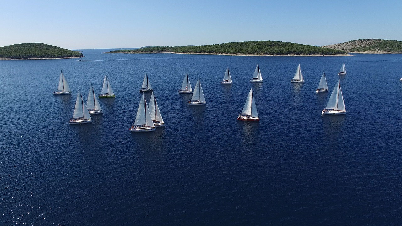 Image - regatta sailboats yachts water