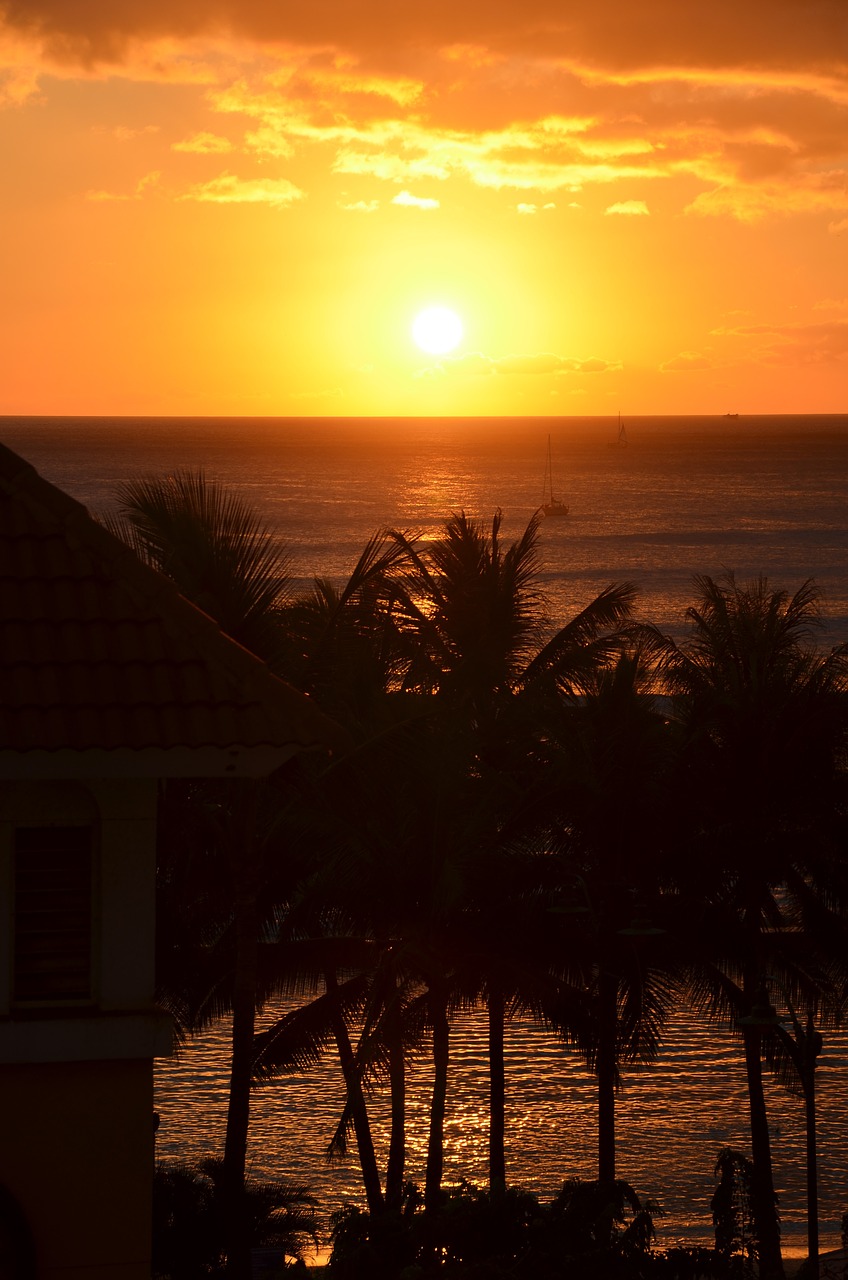 Image - sunset hawaii palms palm trees