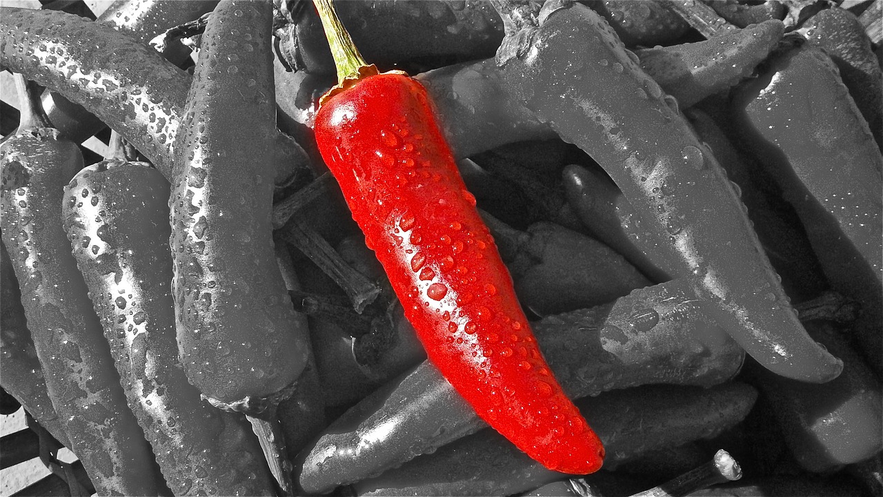 Image - chilli pepper heat hot spice