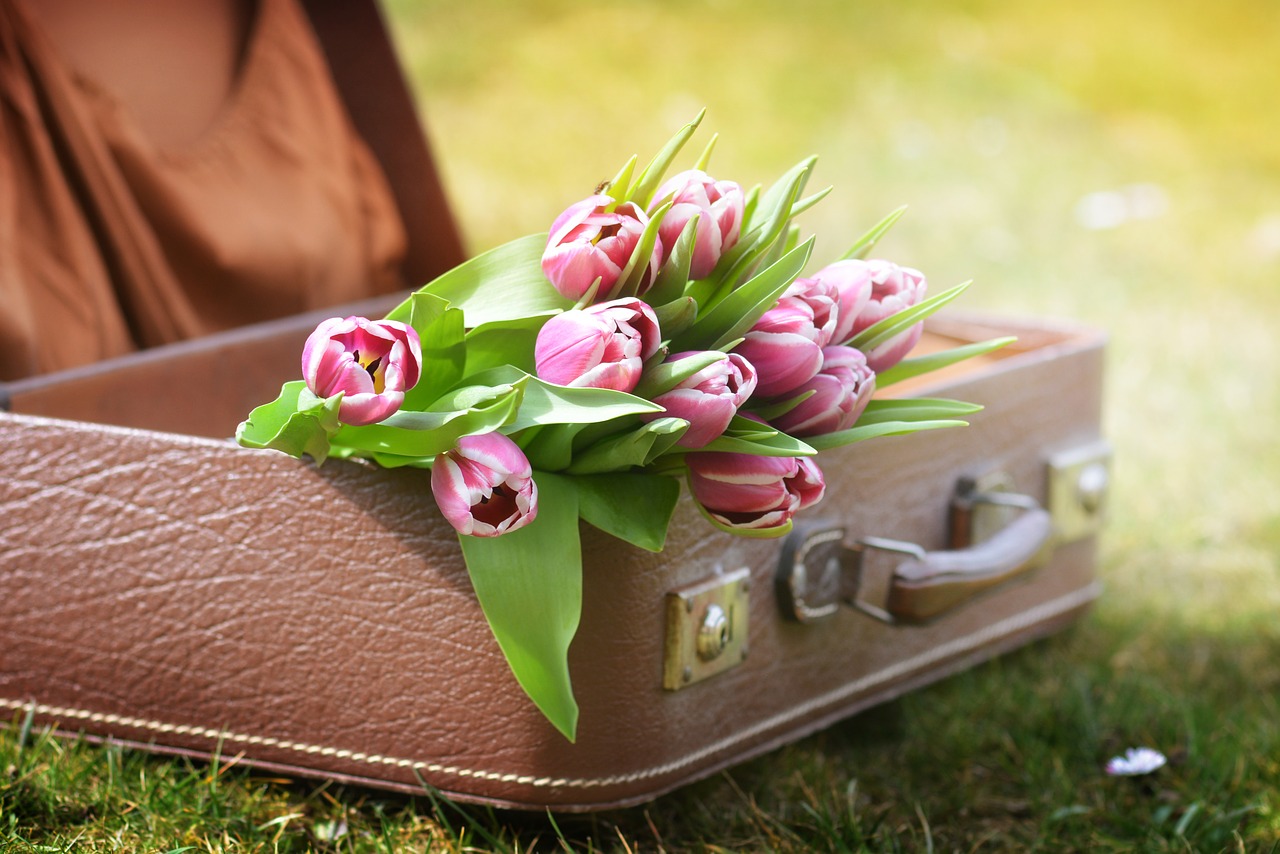 Image - luggage tulips spring flowers