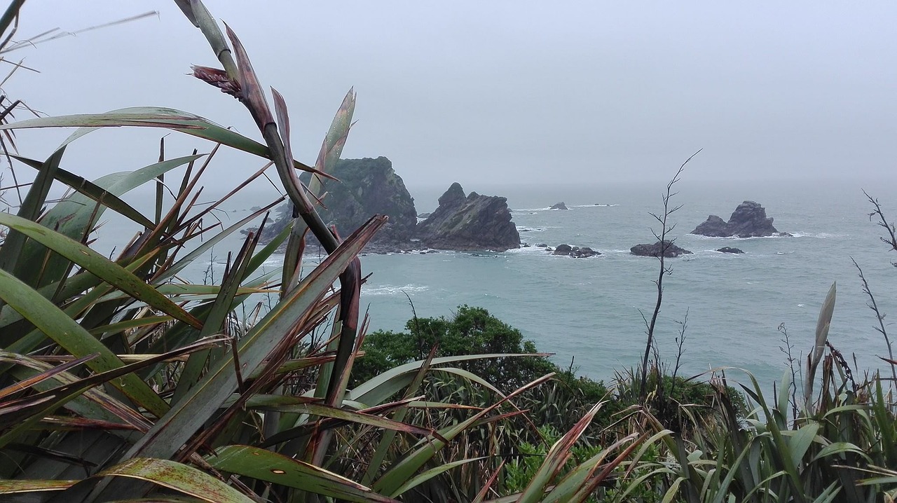 Image - new zealand cloudy south island