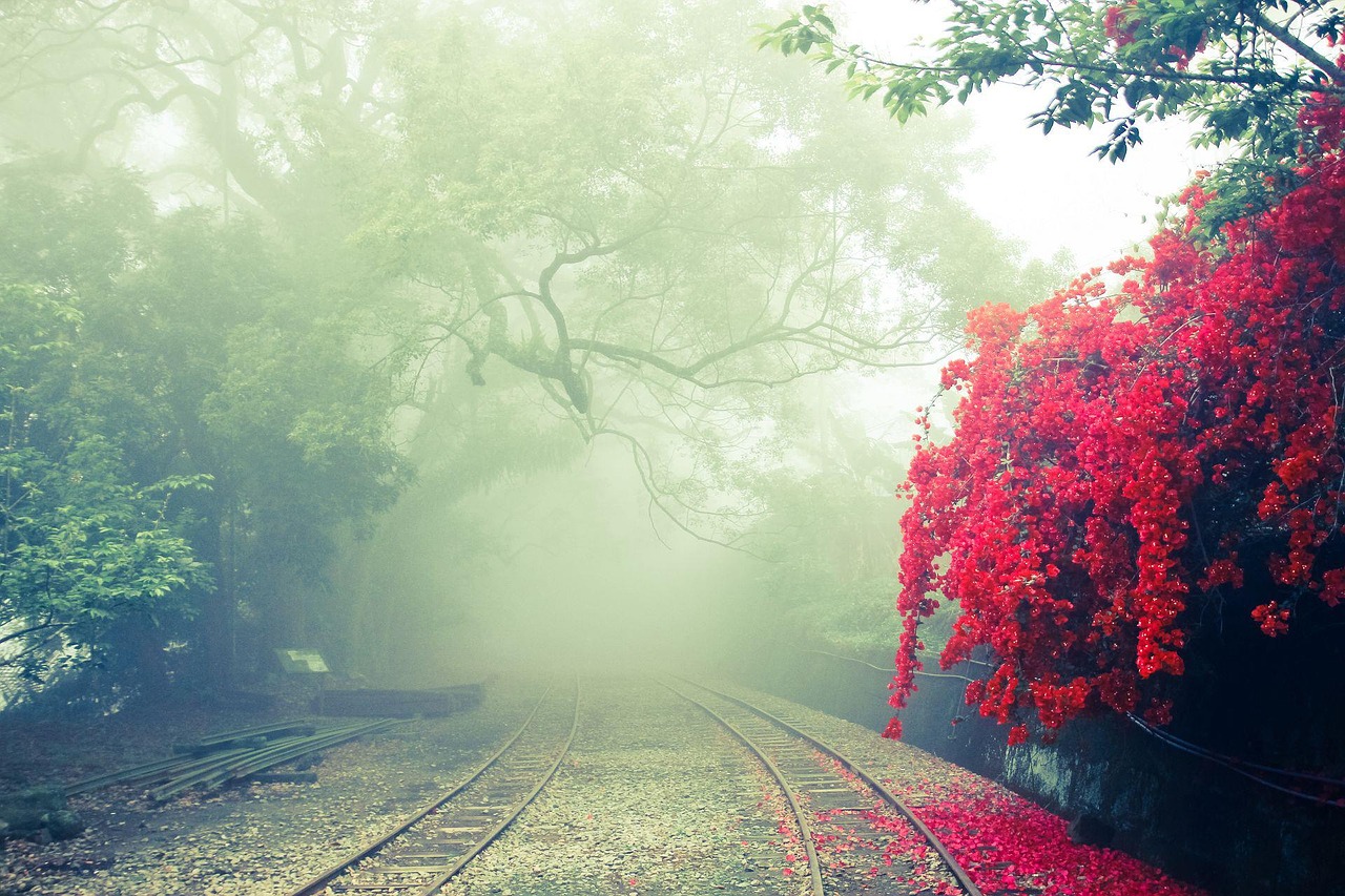 Image - alishan independence hill landscape