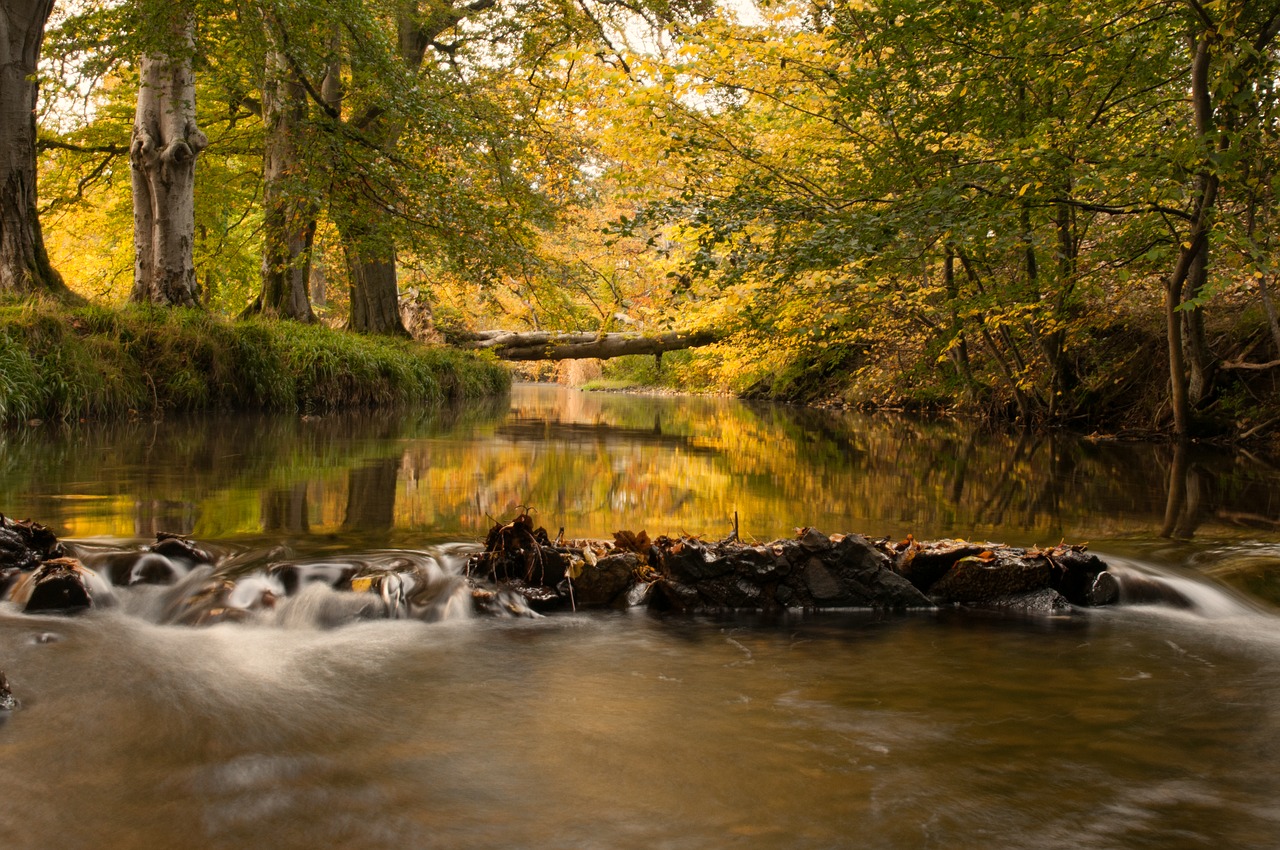 Image - river cutler water water autumn