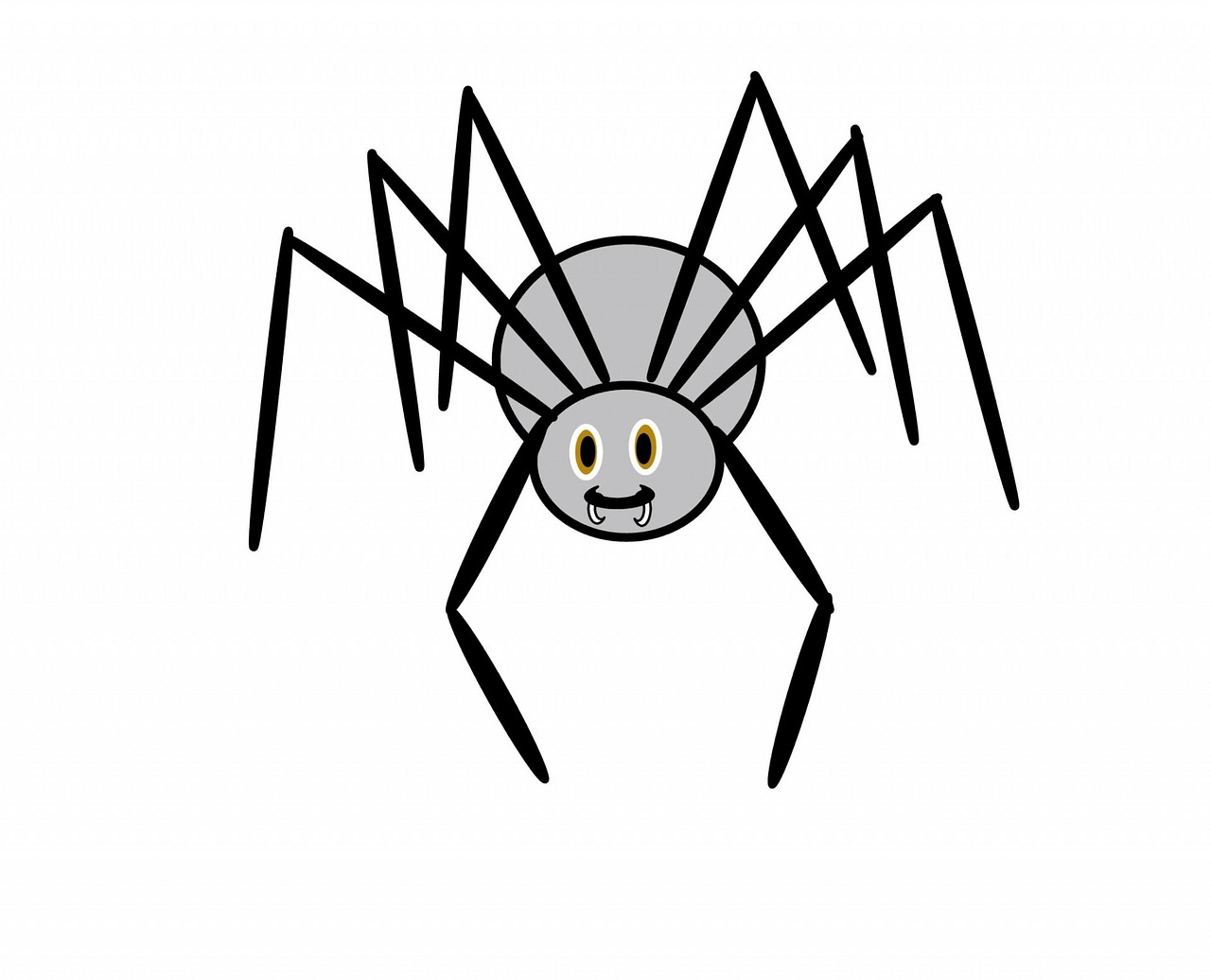 Image - spider scary halloween web design