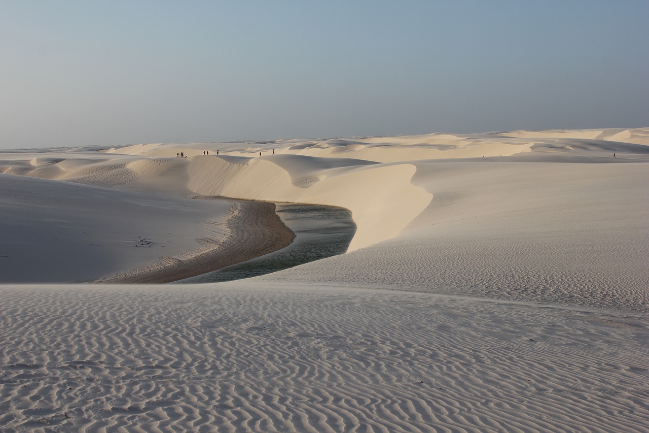 Image - dune sand maranhao brazilwood