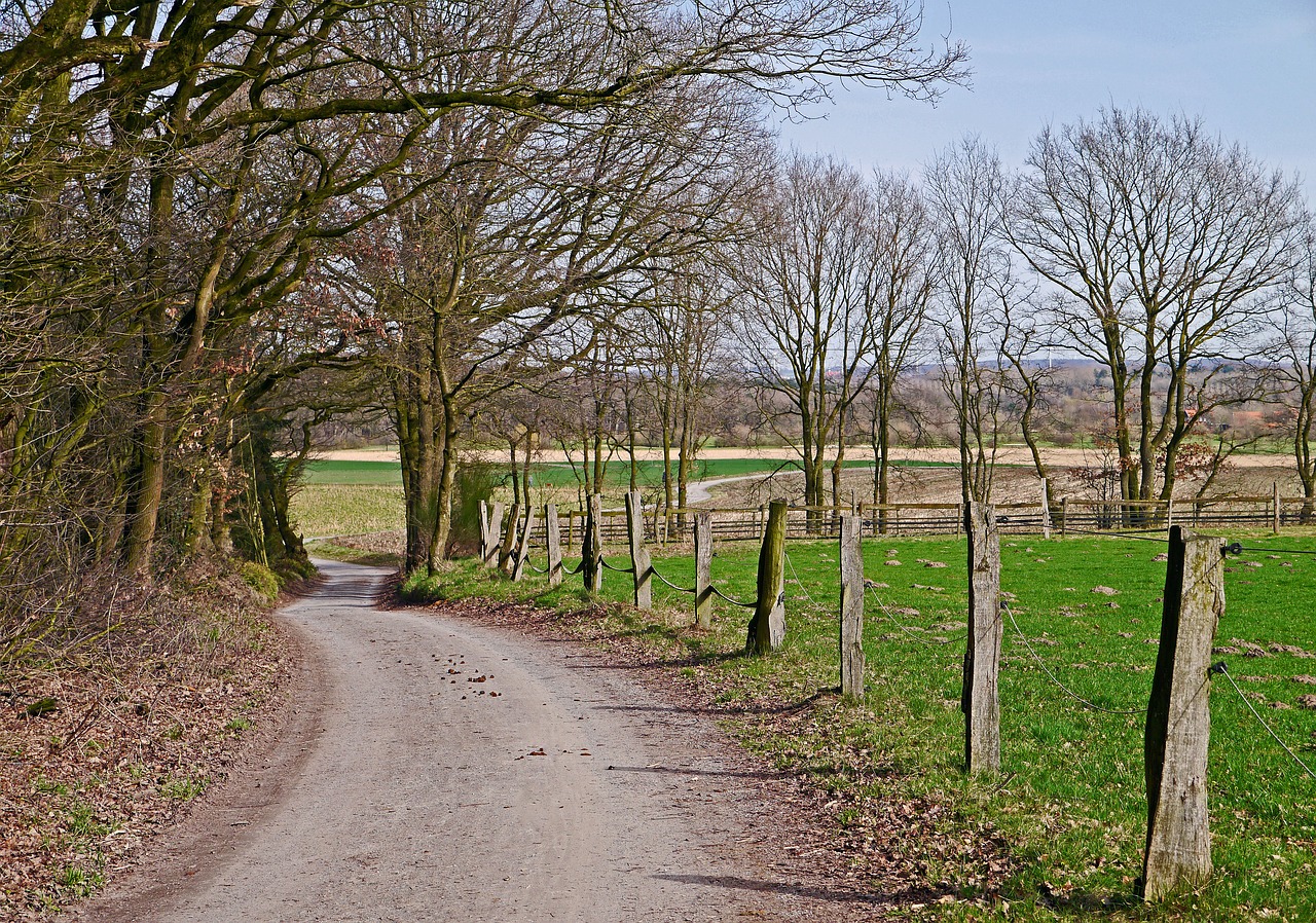 Image - münsterland agriculture dirt track