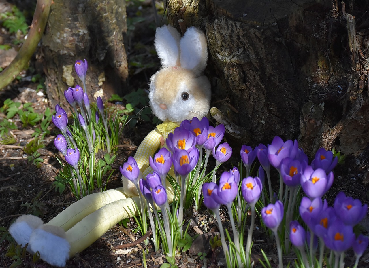 Image - hare toys easter spring cute gift