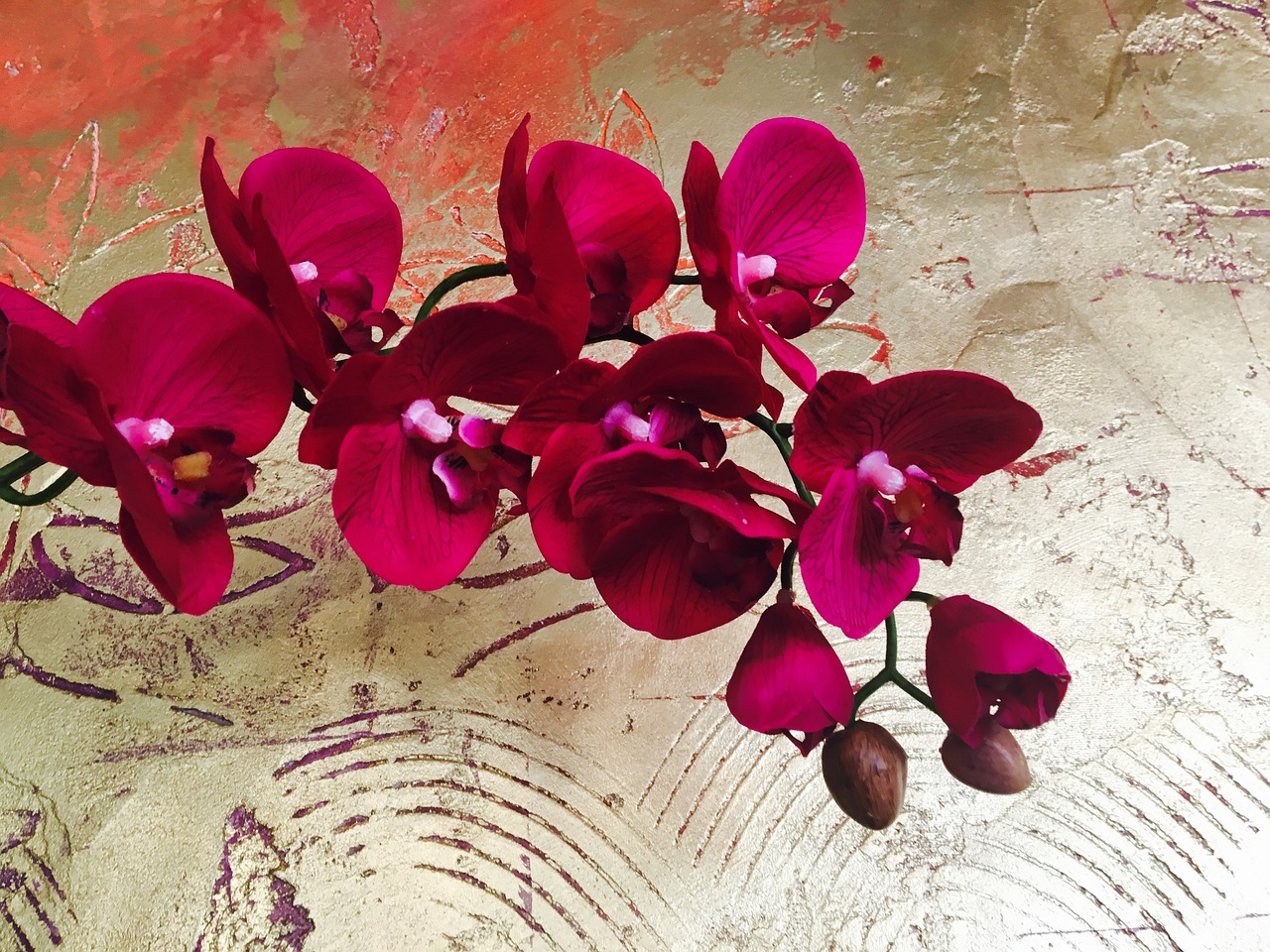 Image - orchid flower gold wall plant