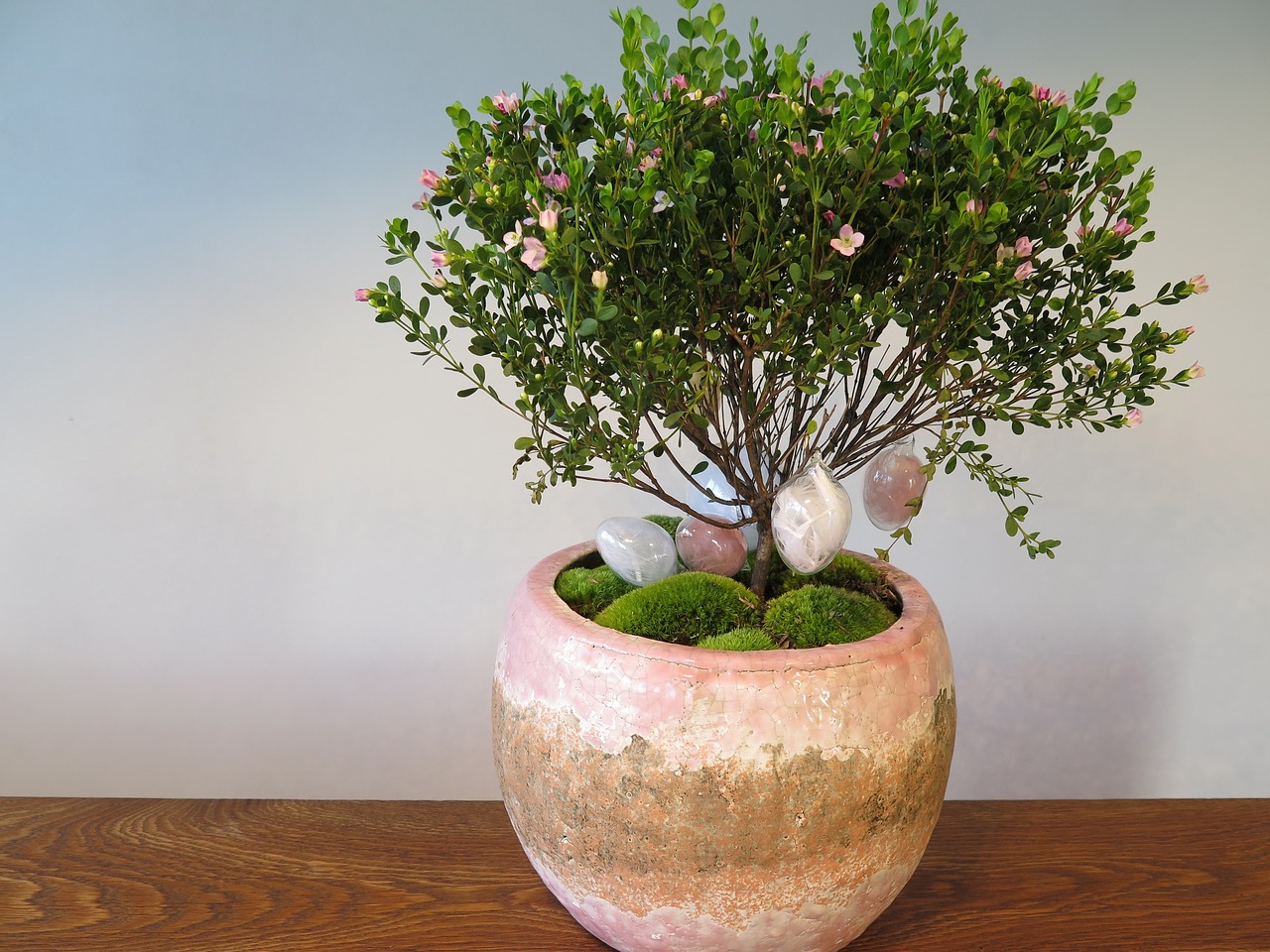 Image - flower plant easter eggs pink