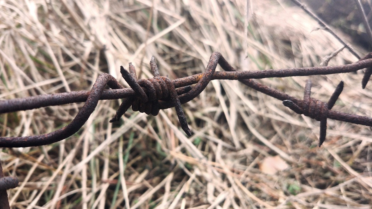 Image - barbed wire macro wire fencing