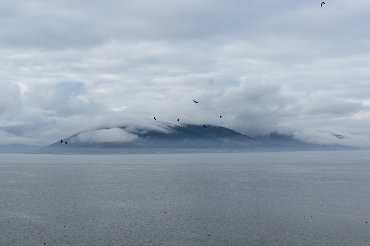 Image - mist river birds mountains