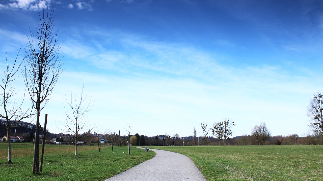 Image - migratory path sky meadow green