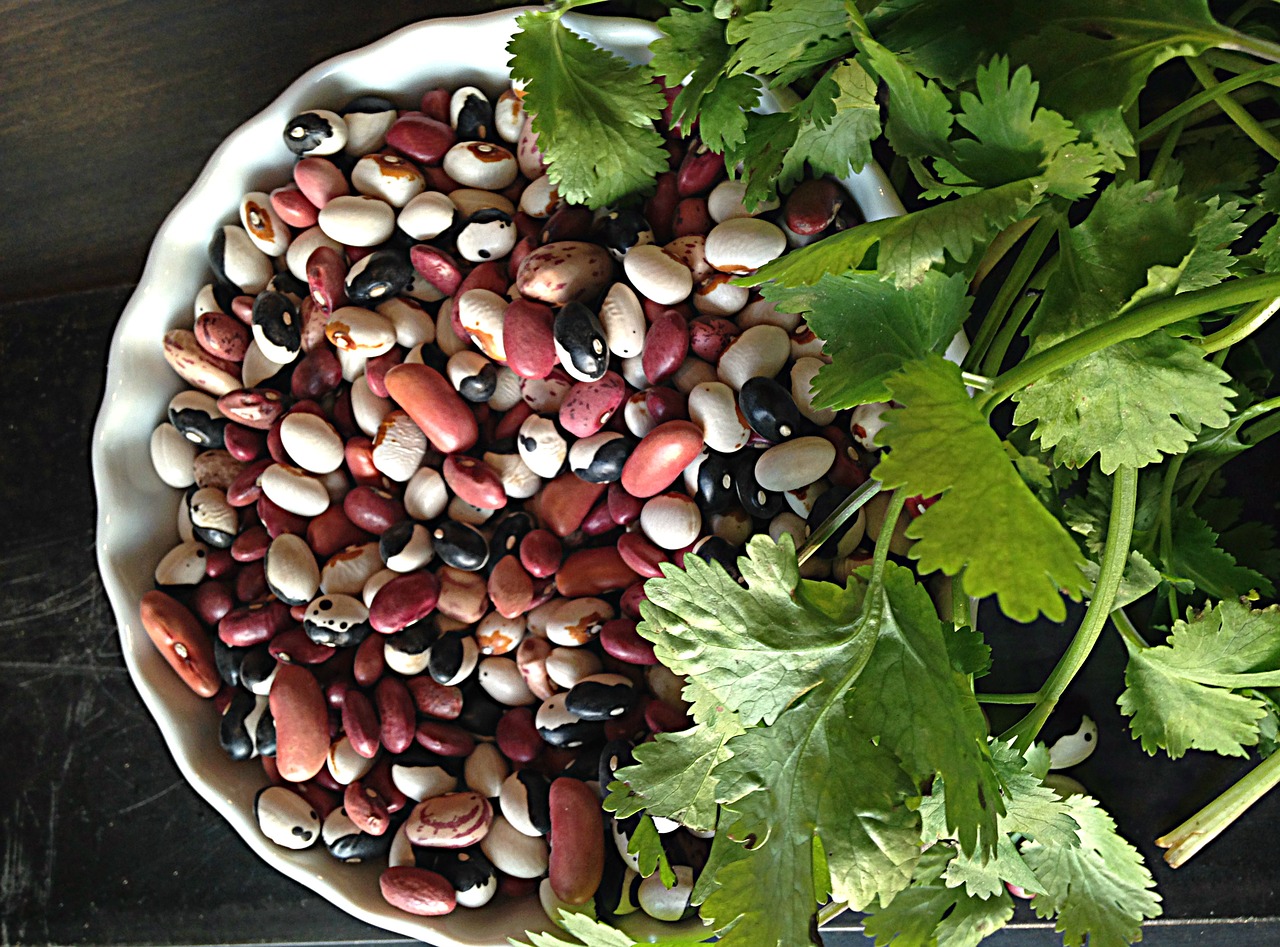 Image - beans cilantro food table fresh