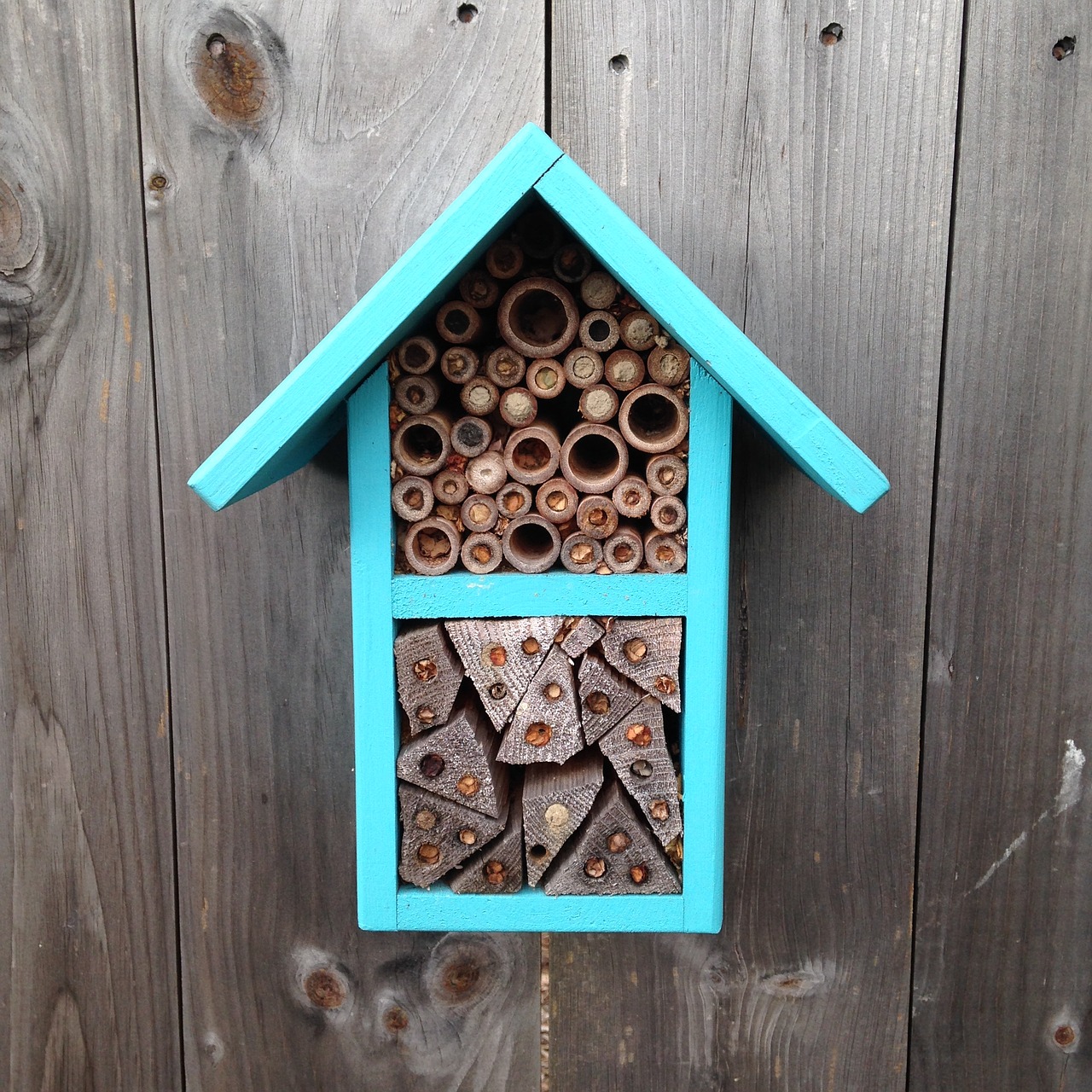 Image - bees pollinators bee house