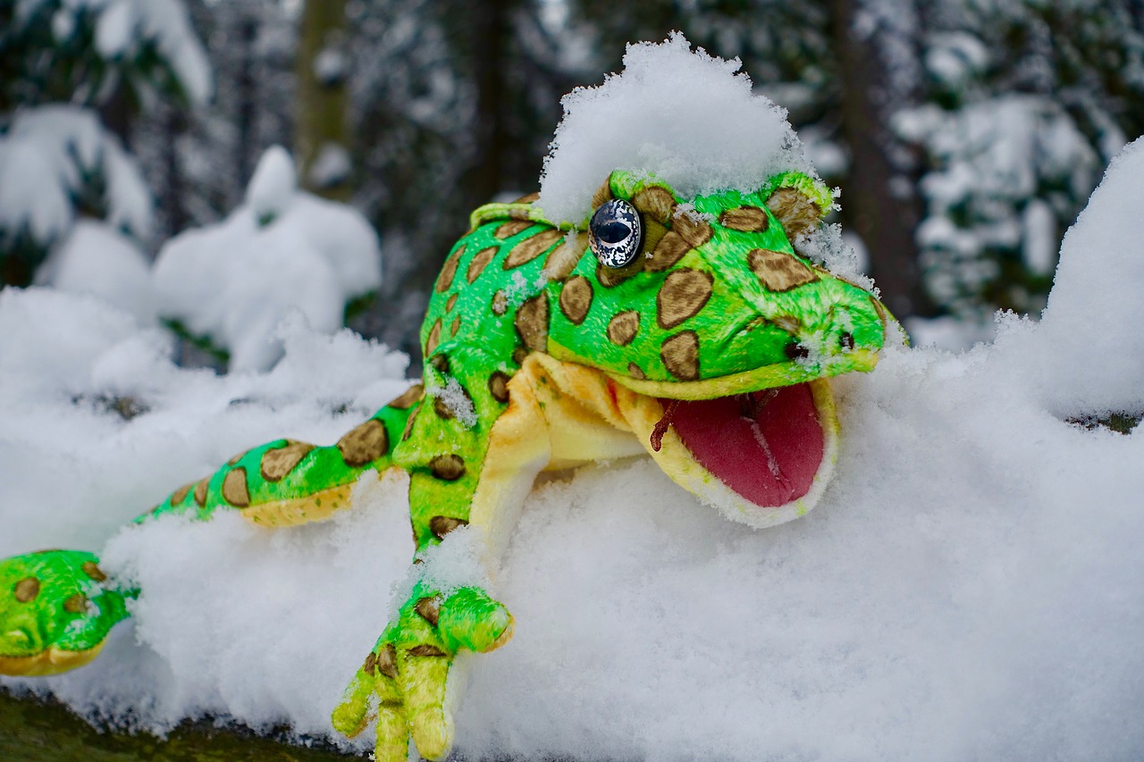 Image - puppet snow frog cute symbol