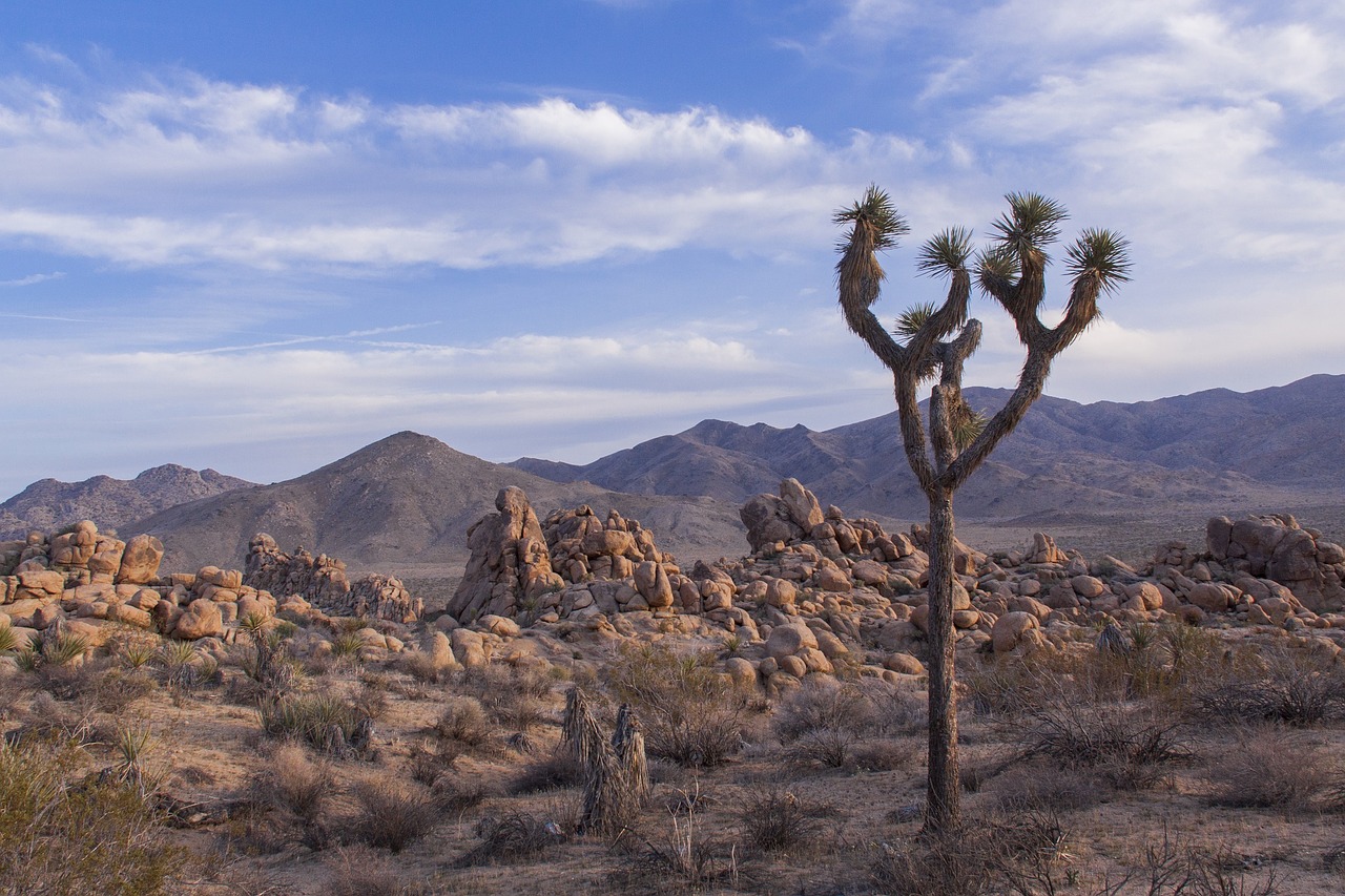 Image - landscape desert nature mountains