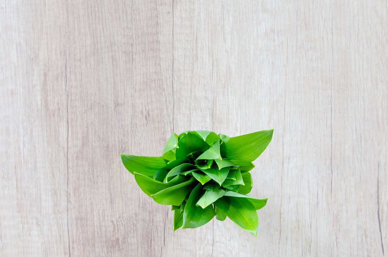 Image - wood table herb garlic food green