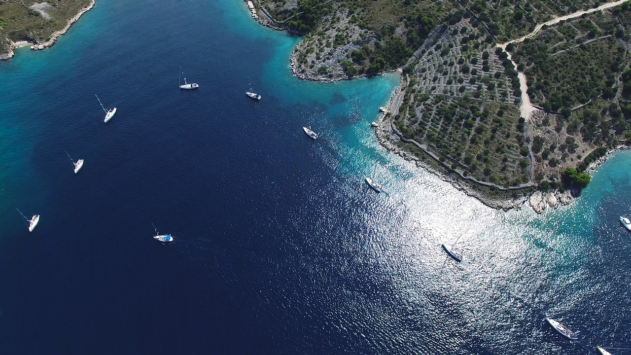 Image - bird s eye view sea yachts water