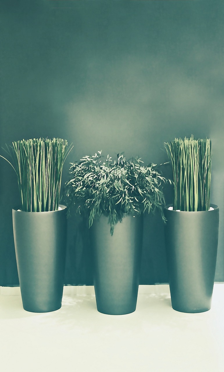 Image - wellness spa background rest