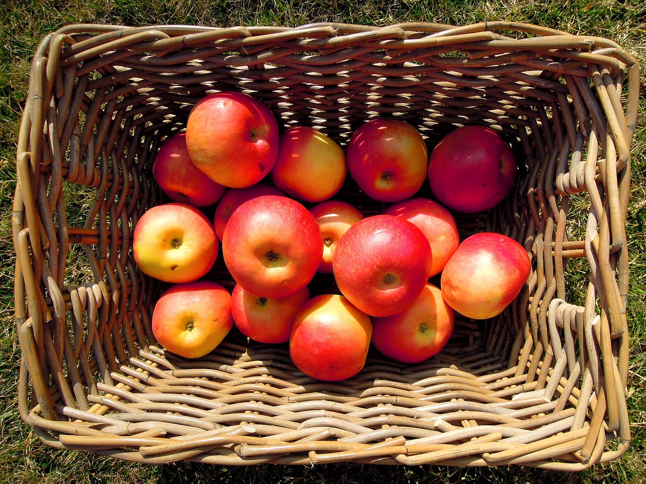 Image - apple fruit basket red yellow