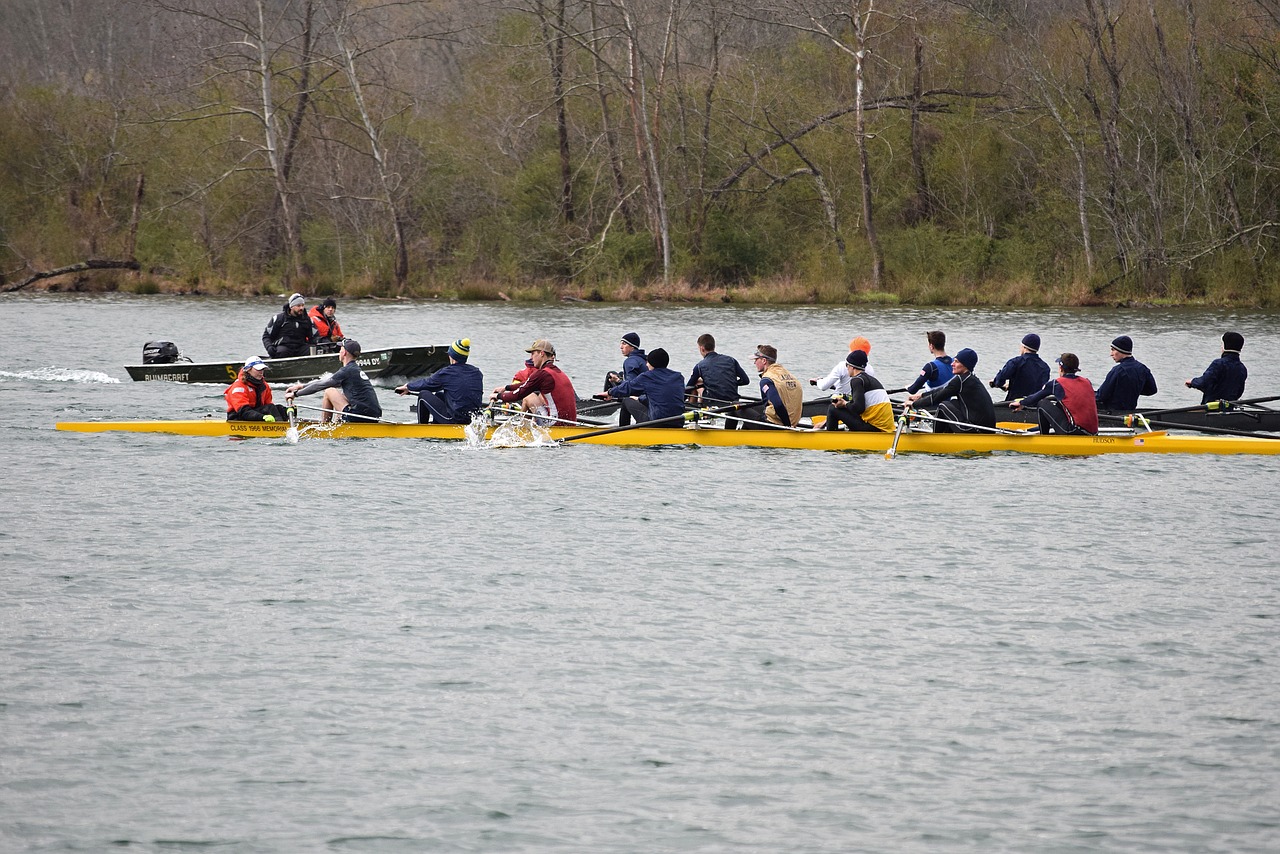 Image - scull rowing clinch river tennessee