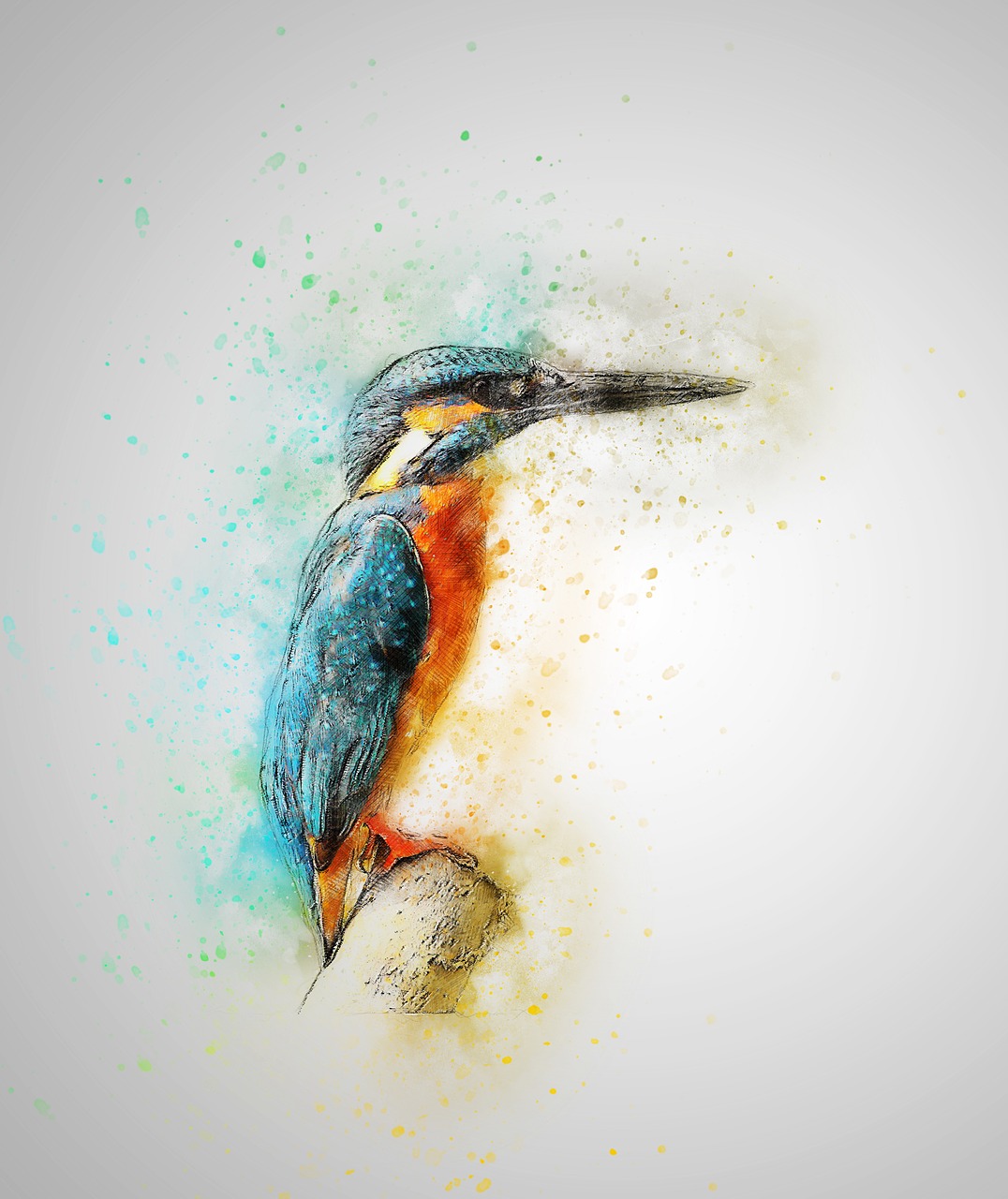 Image - bird kingfisher feathers art