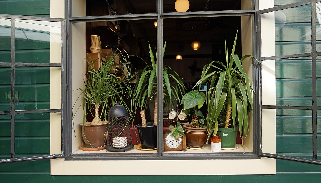 Image - window decoration plant flowers