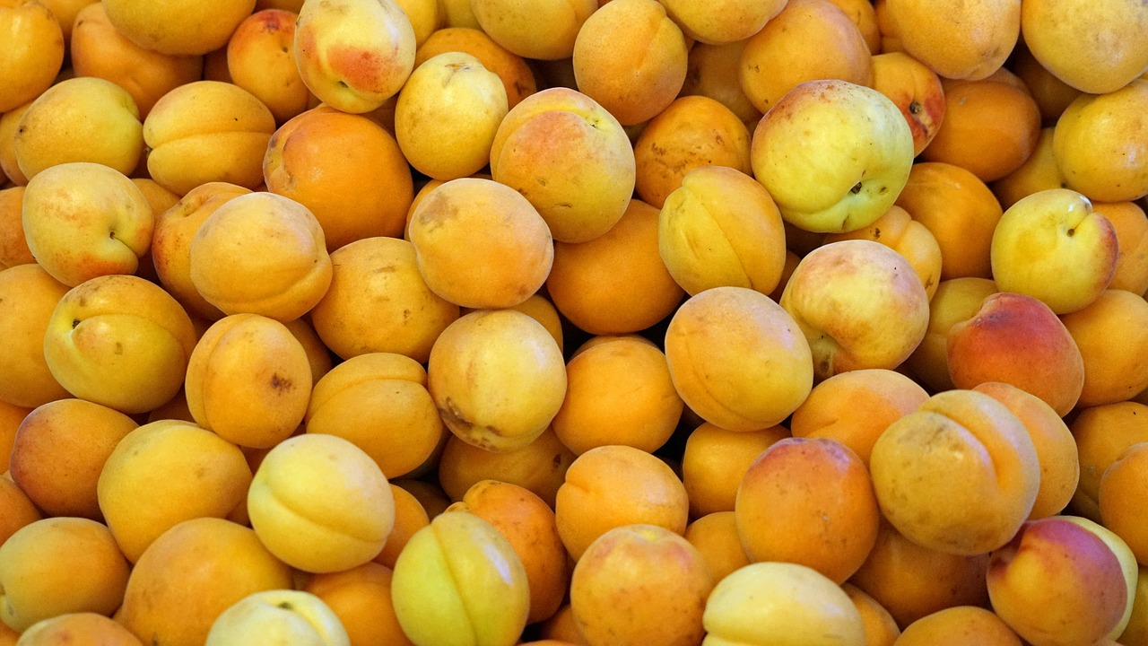 Image - fruit fruits food sweet nectarines