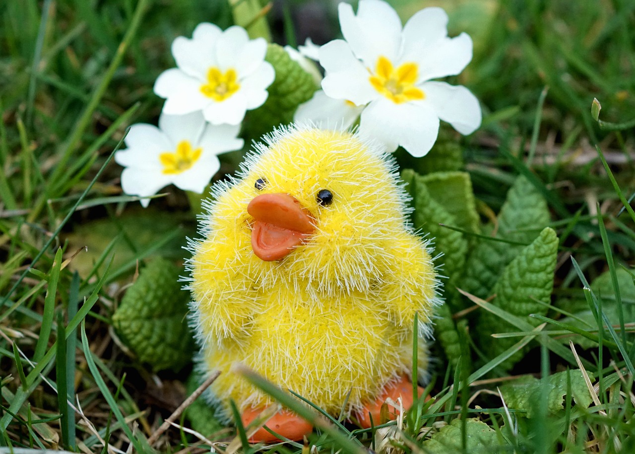 Image - easter chicks easter decoration