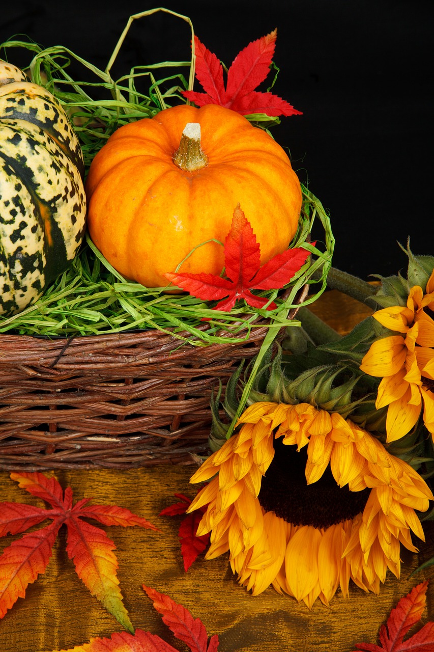 Image - autumn basket color colorful