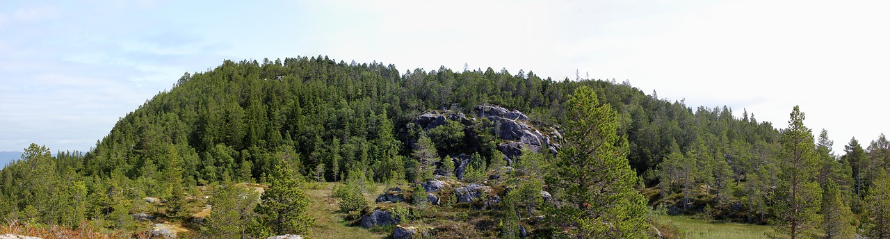 Image - panorama norway trondheim bymarka