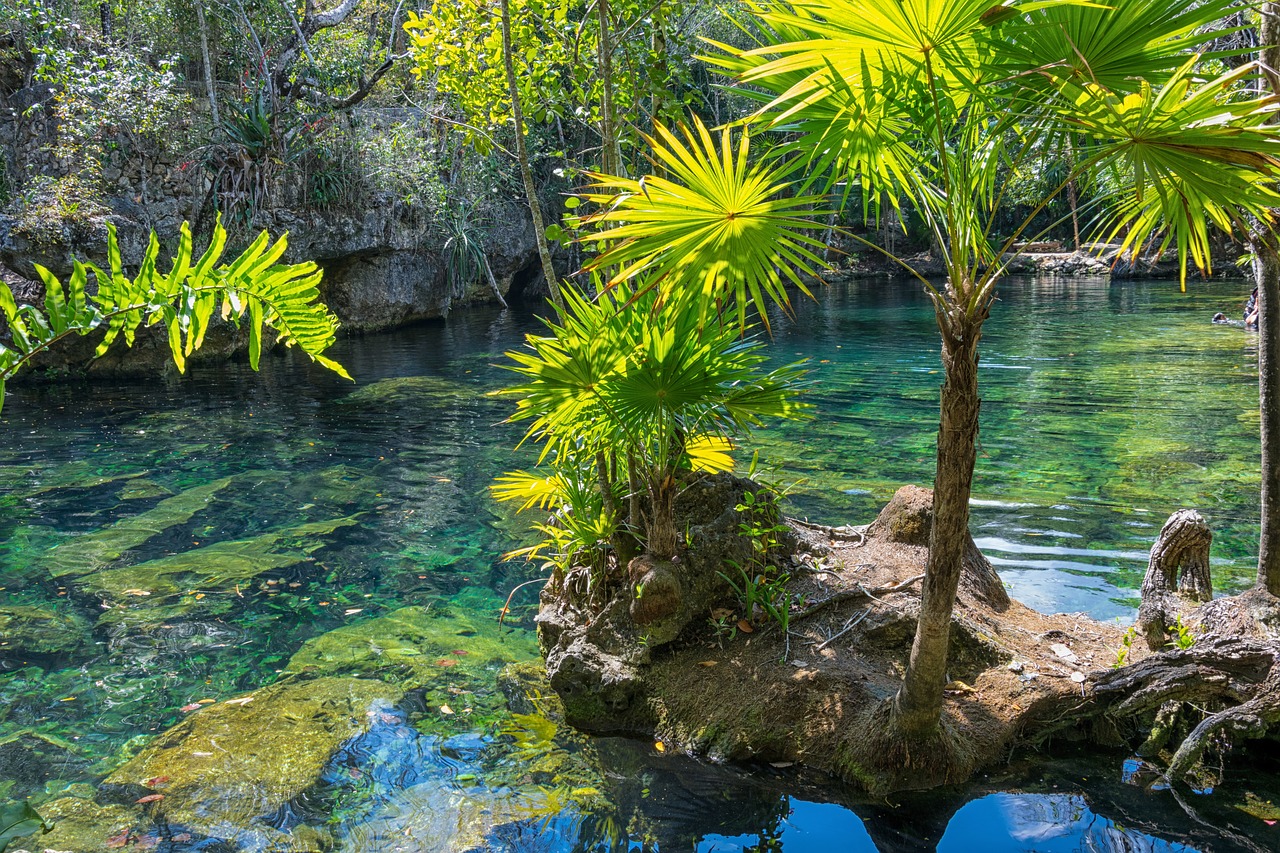 Image - mexico yucatan cenote nature