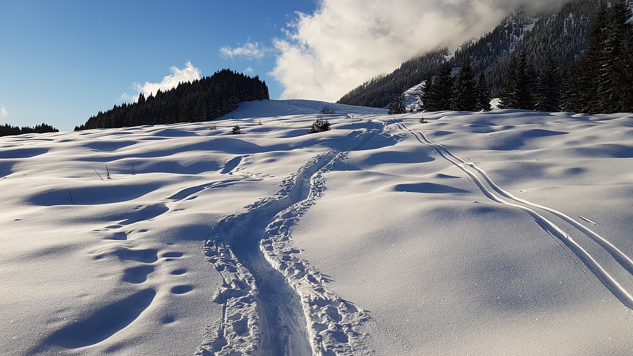 Image - snow winter wintry liezen