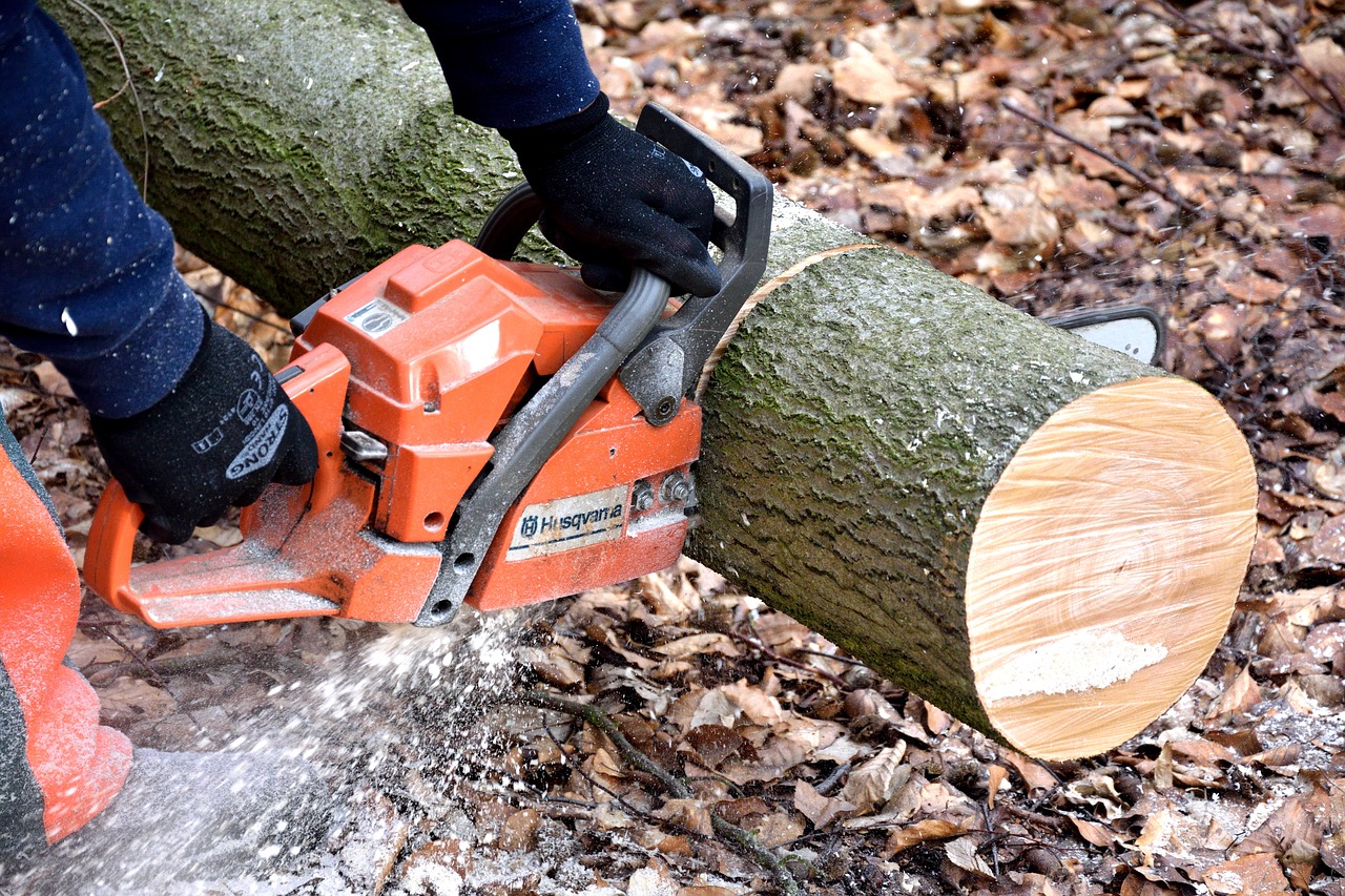 Image - cutting wood lumberjack chainsaw
