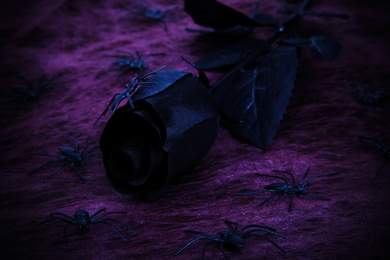 Image - background black dark decoration