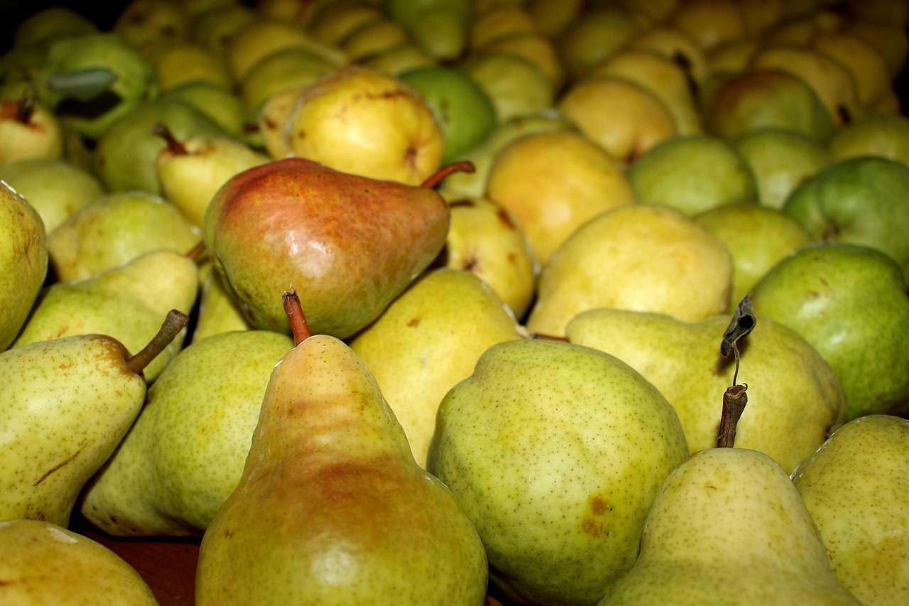 Image - pears spring summer green fruit