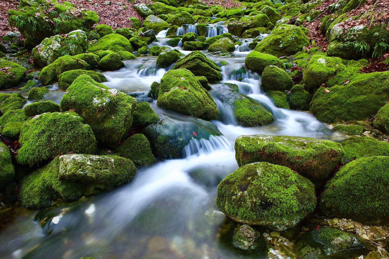 Image - source water torrent rock nature