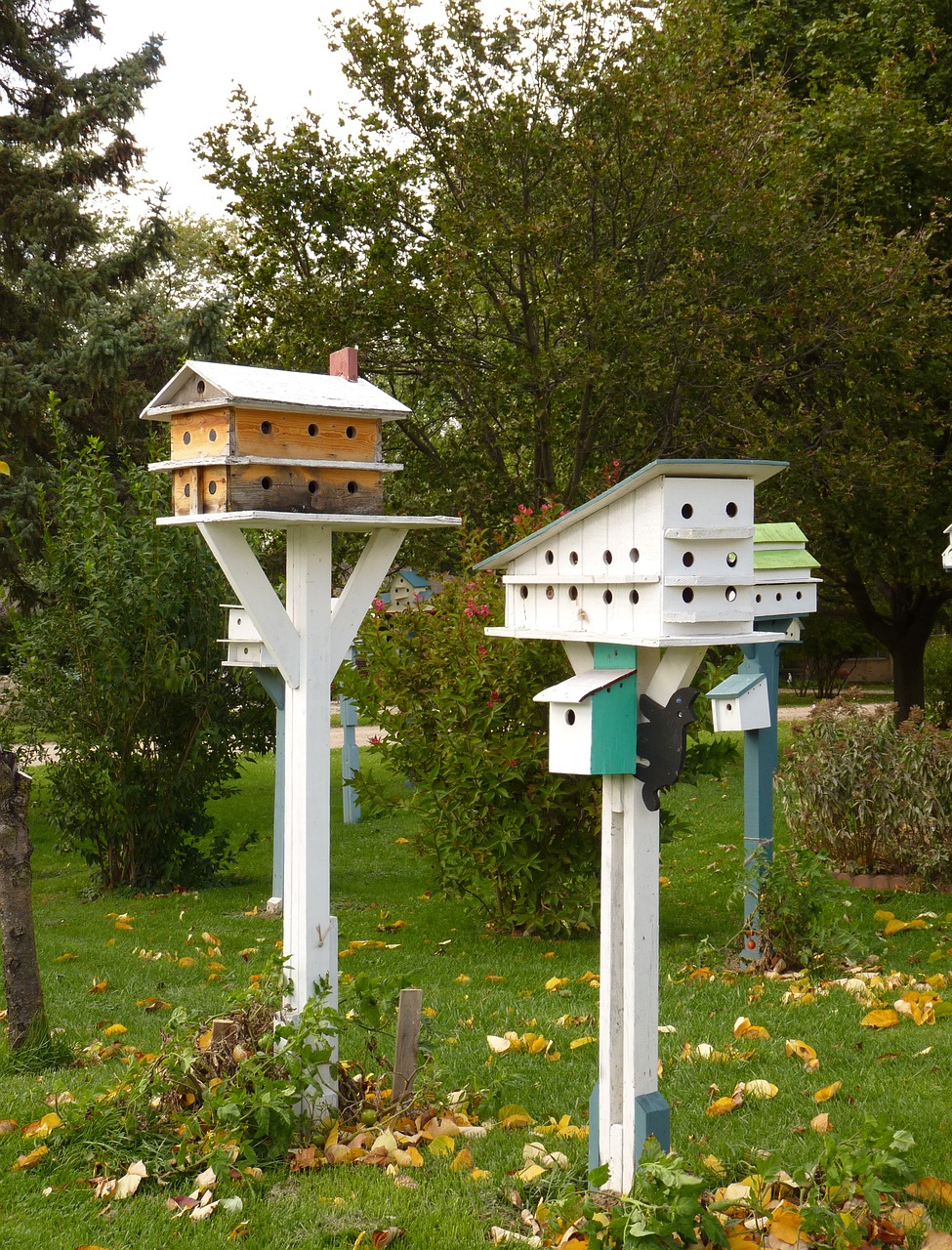 Image - birdhouse bird wildlife house