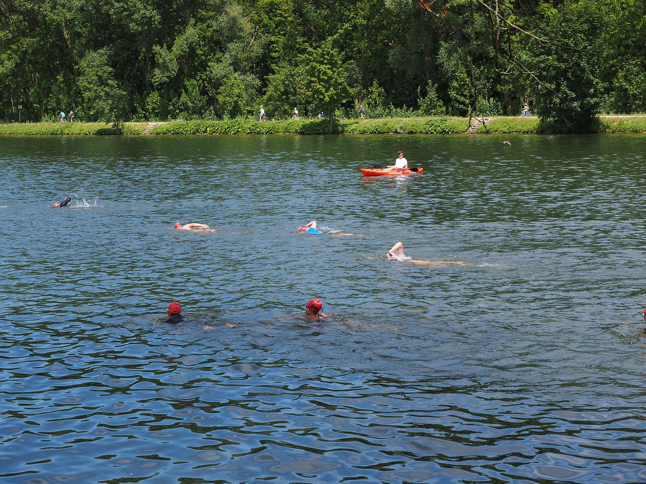 Image - swim competition triathlon