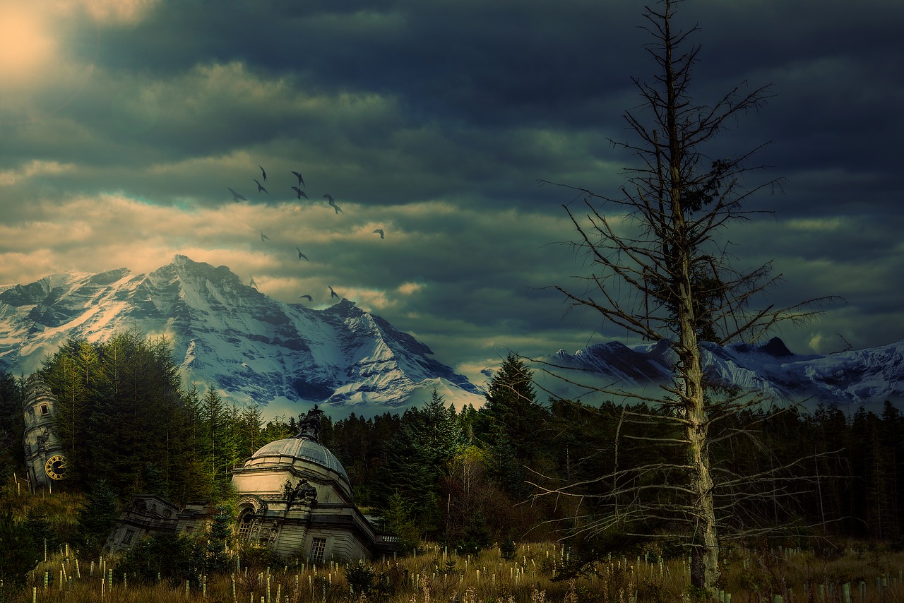 Image - apocalyptic trees forest buildings