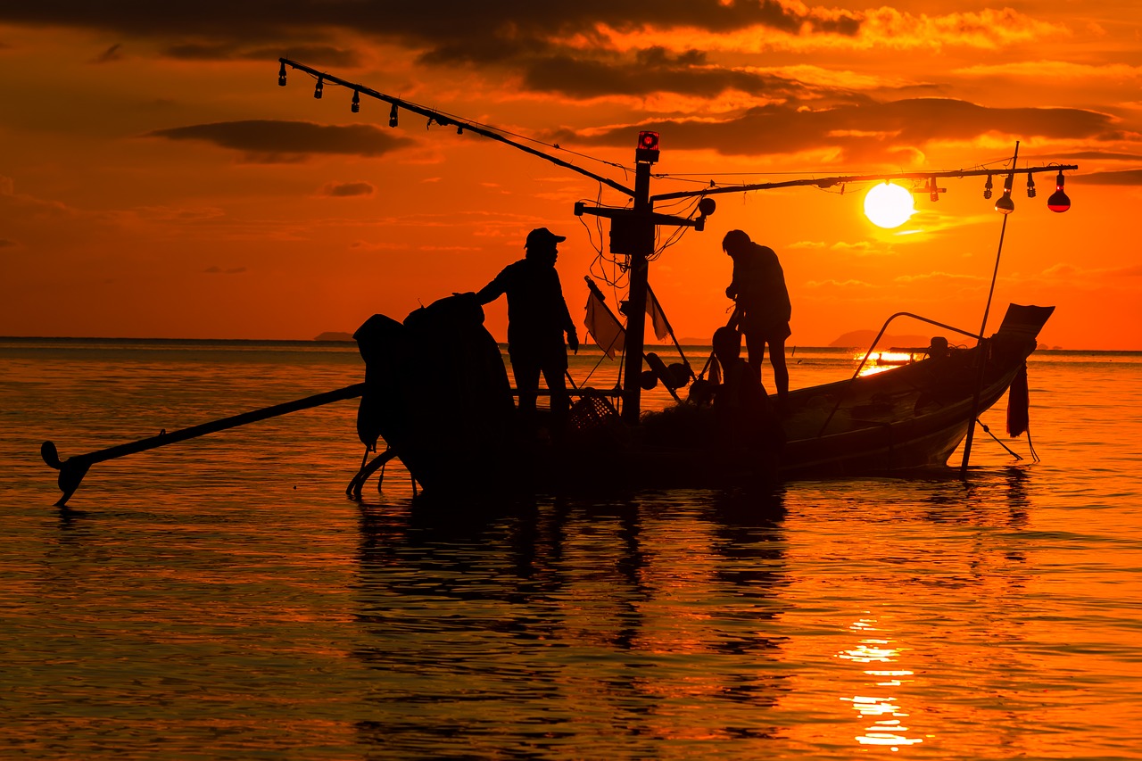 Image - sunset sea sky nature summer