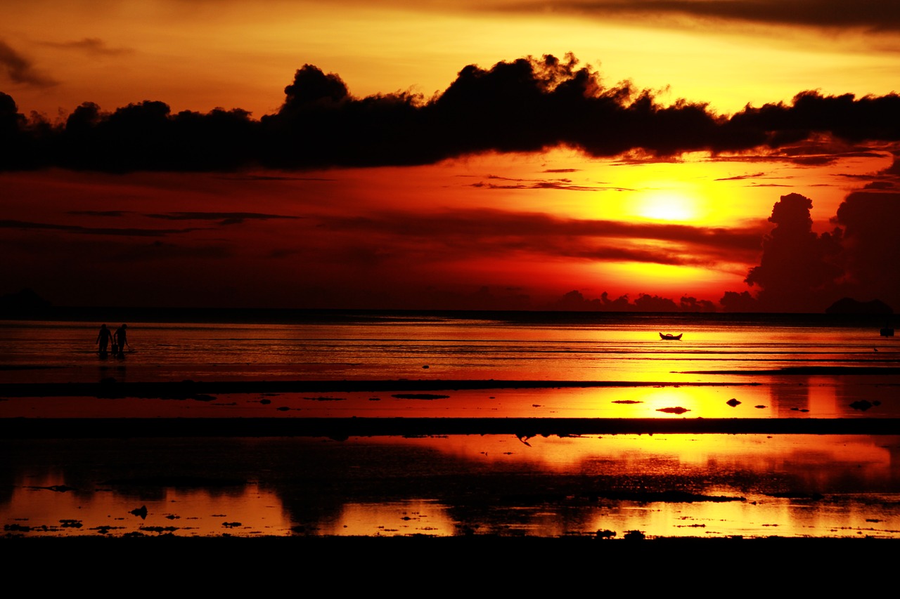 Image - sunset sea sky nature summer