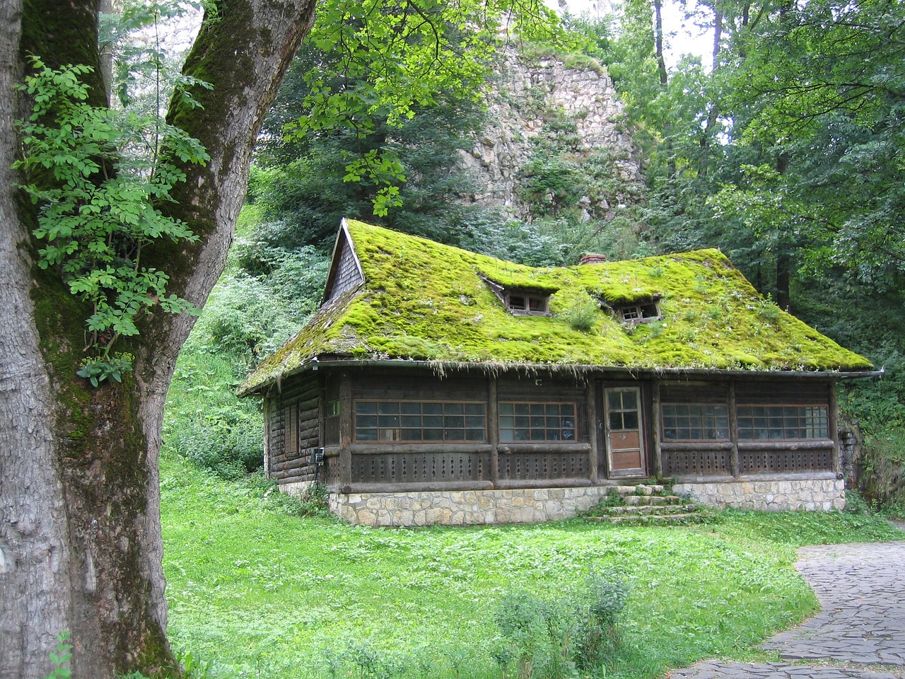 Image - house field forest
