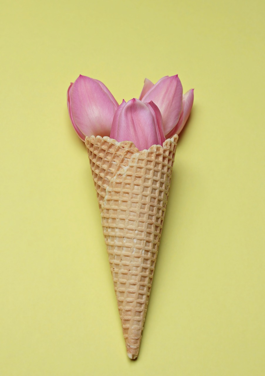 Image - tulips tulip flower flowers
