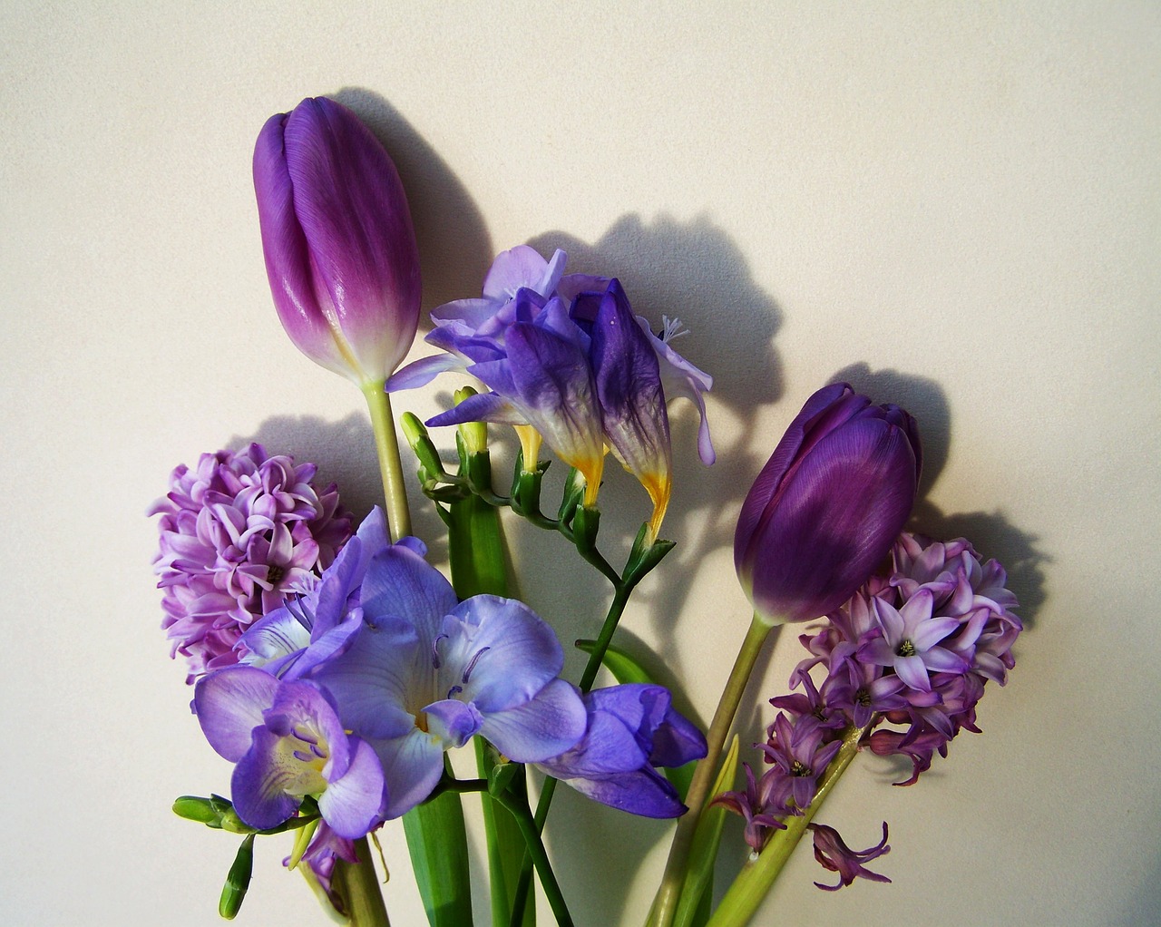 Image - bunch of flowers bluish purple colors