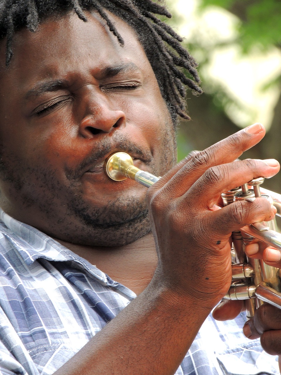 Image - musician jazz n music musical