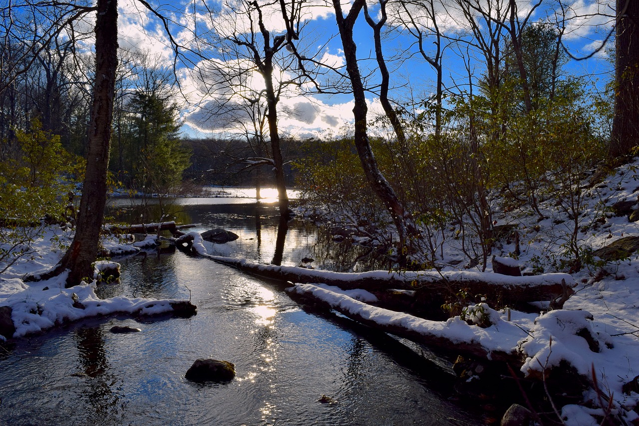 Image - lake winter nature landscape snow