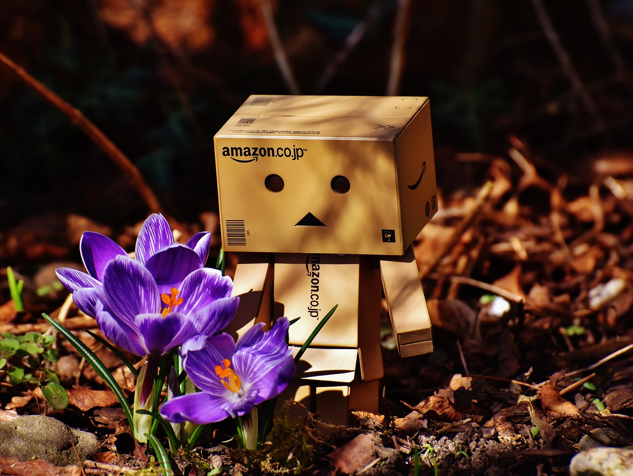 Image - harbinger of spring danbo crocus