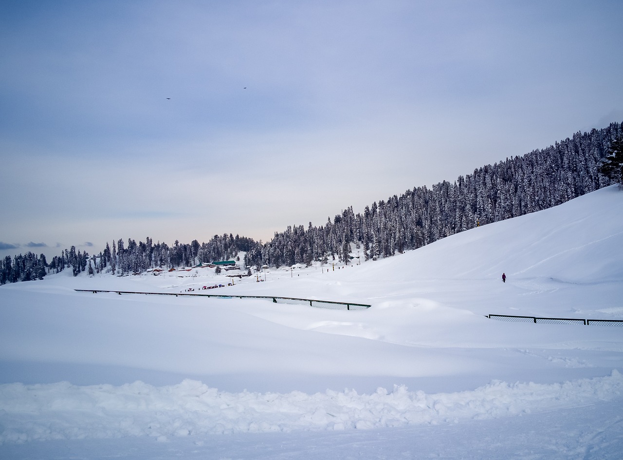 Image - landscape view himalayas kashmir